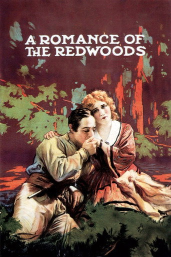 Cartel de Un romance en los Redwoods