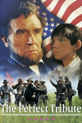 Cartel de The Perfect Tribute