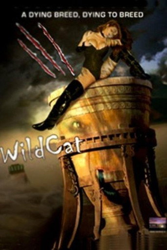 Cartel de WildCat