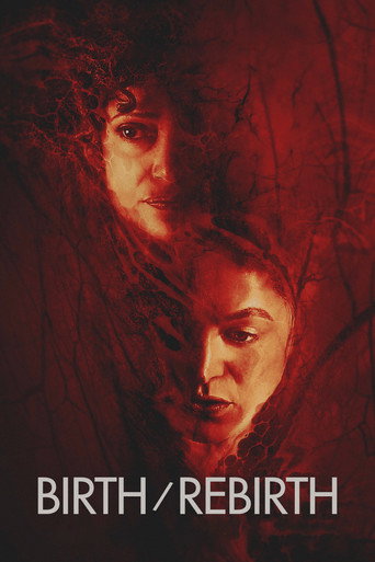 Cartel de Birth/Rebirth