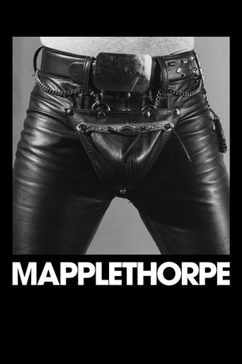 Cartel de Mapplethorpe