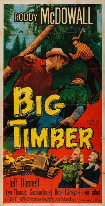 Cartel de Big Timber