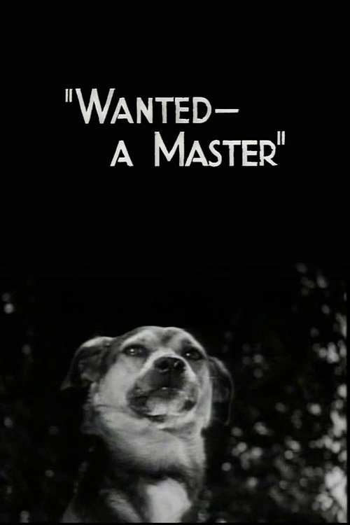 Cartel de Wanted - A Master