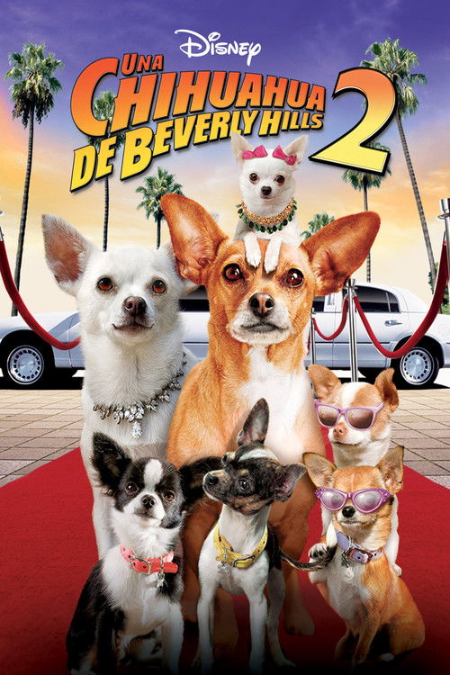 Cartel de Un chihuahua en Beverly Hills 2