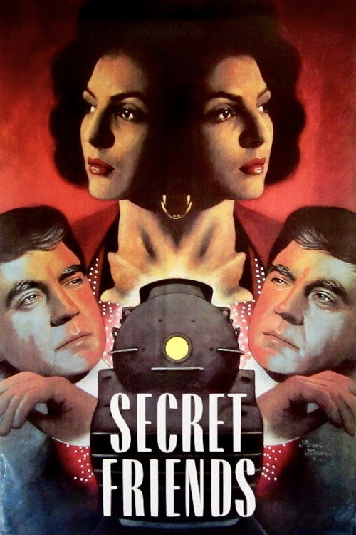 Cartel de Secret Friends