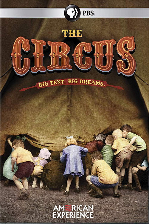 Cartel de The Circus