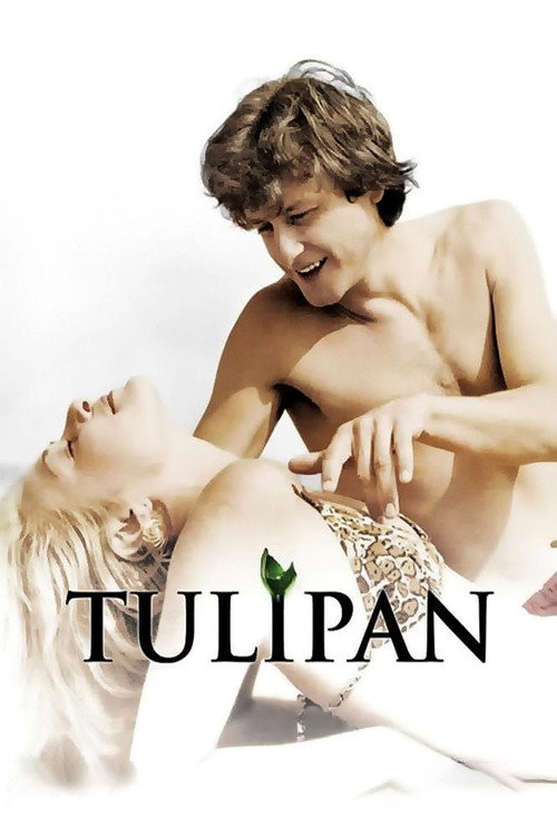 Cartel de Tulipan