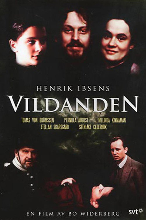 Cartel de Vildanden