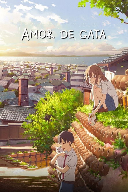 Cartel de Amor de gata