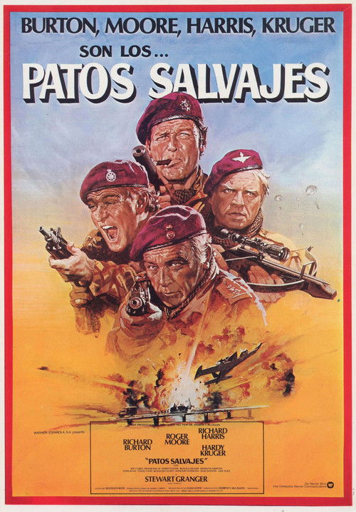 Cartel de Patos salvajes