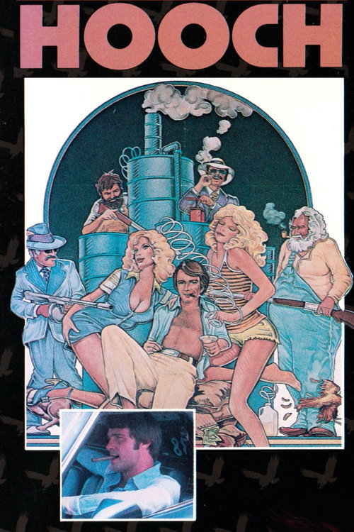 Cartel de Hooch