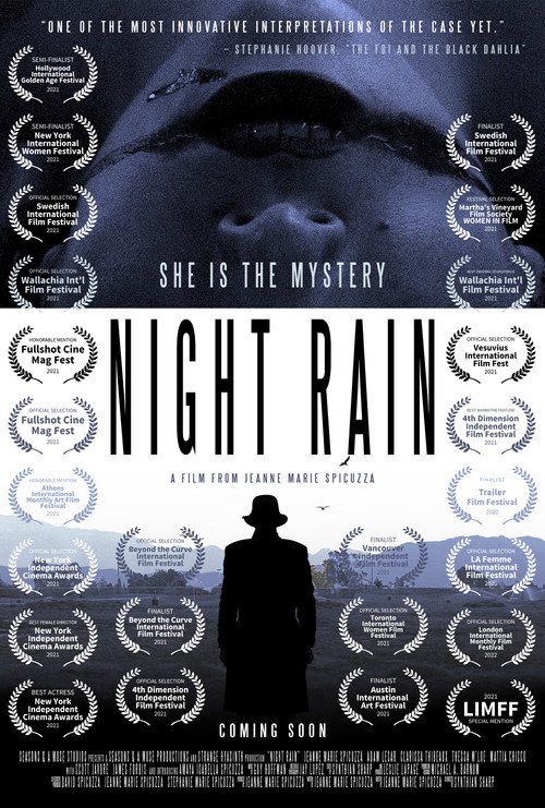 Cartel de Night Rain