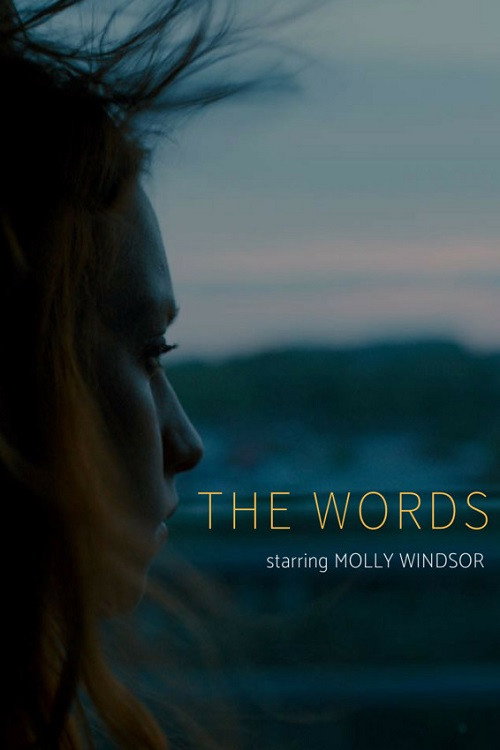 Cartel de The Words
