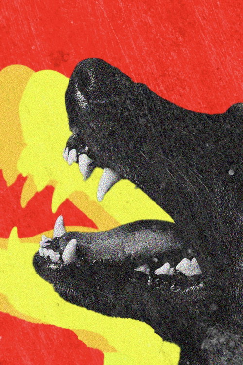 Cartel de DOGTOOTH