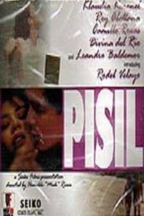Cartel de Pisil