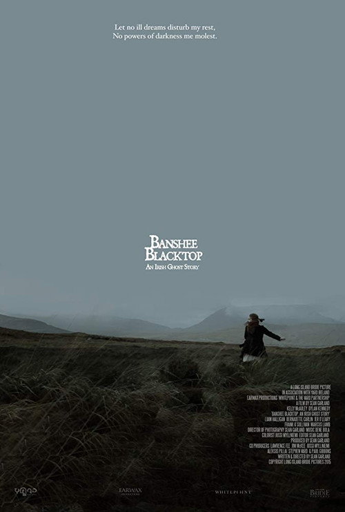 Cartel de Banshee Blacktop