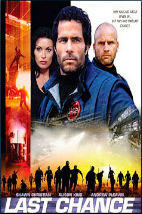 Cartel de The Last Chance