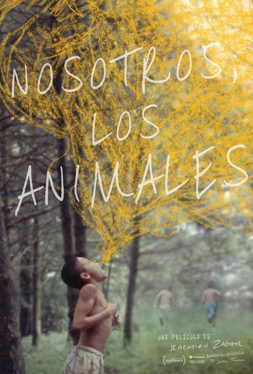 Cartel de We the Animals