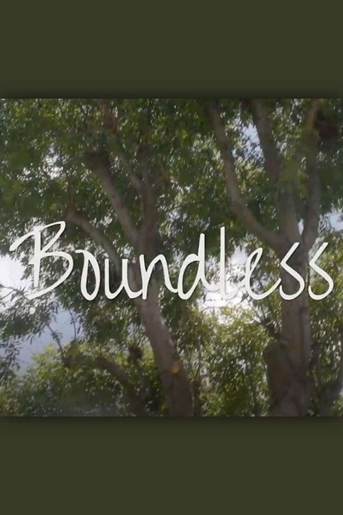 Cartel de Boundless