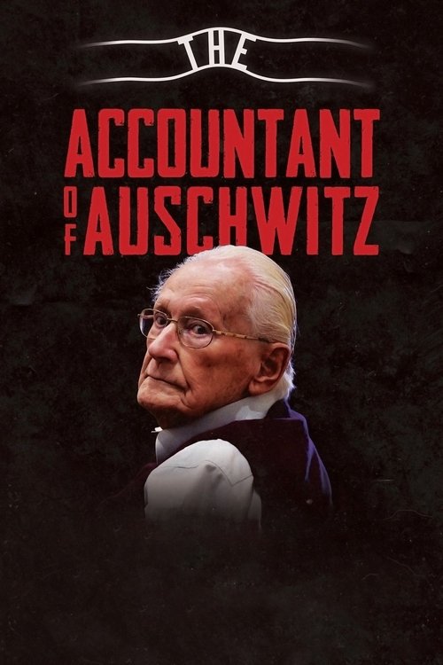 Cartel de El contable de Auschwitz