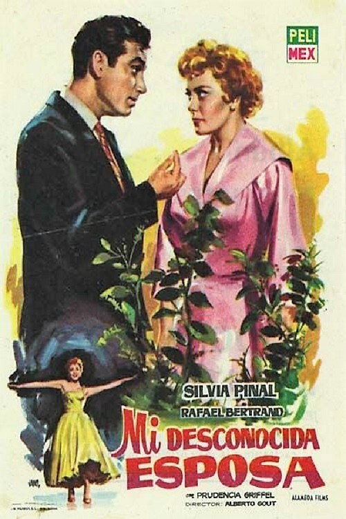 Cartel de Mi desconocida esposa