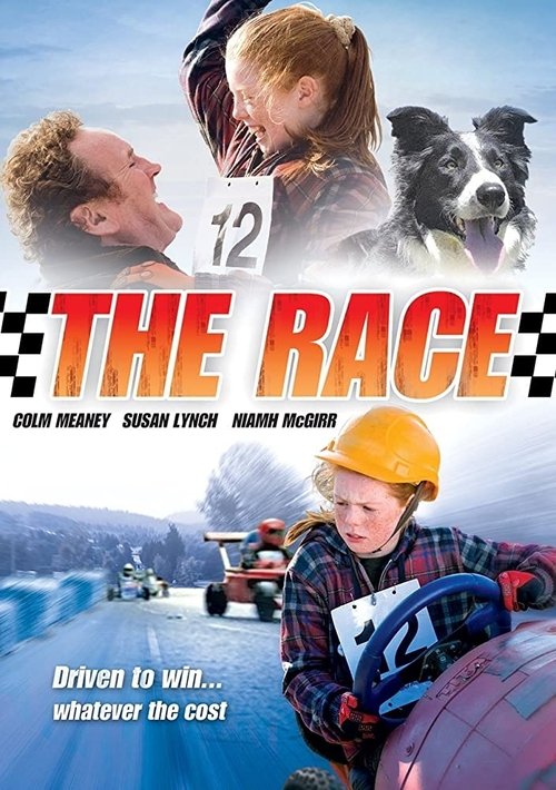 Cartel de The Race