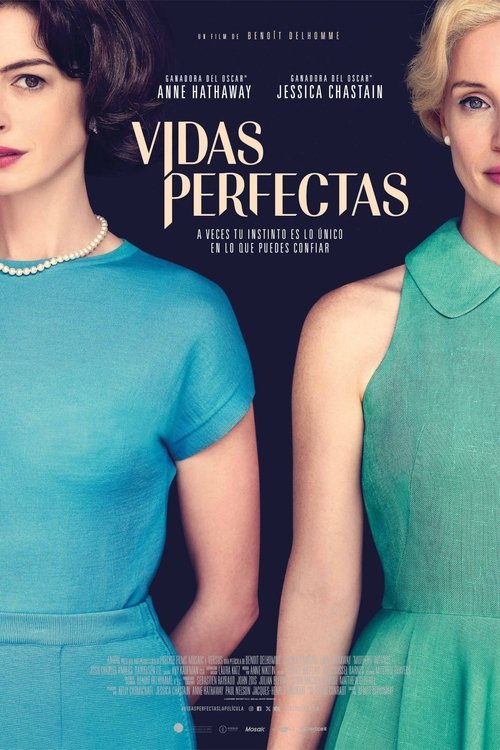 Cartel de Vidas perfectas