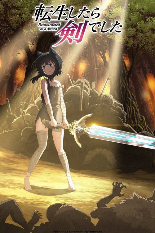 Cartel de Tensei Shitara Ken Deshita