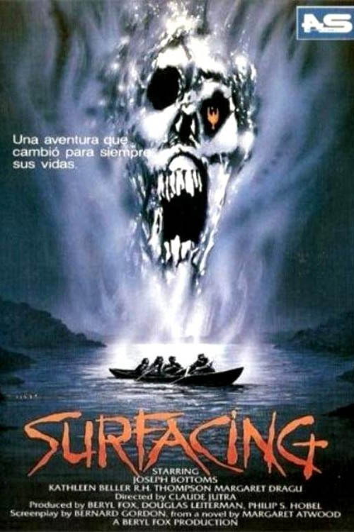 Cartel de Surfacing