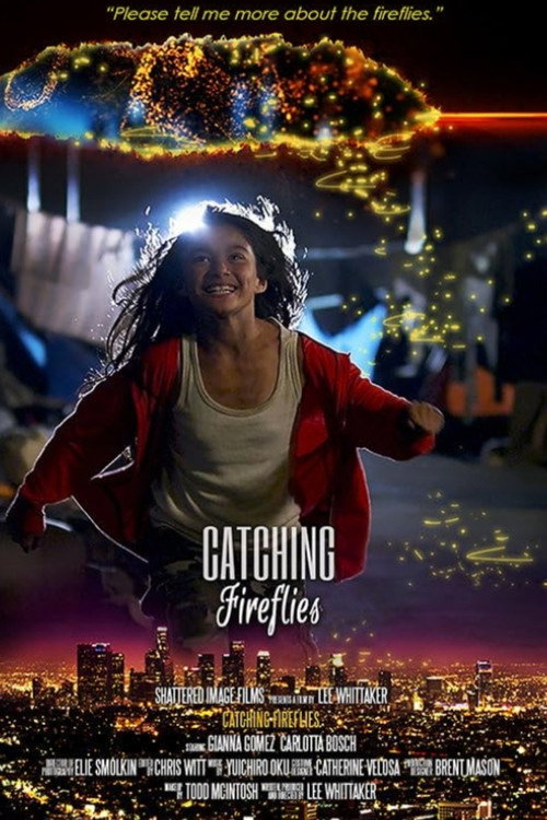 Cartel de Catching Fireflies