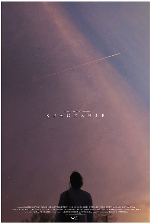 Cartel de Spaceship