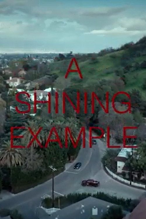 Cartel de A Shining Example