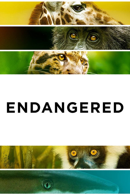 Cartel de Endangered
