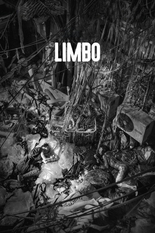 Cartel de Limbo