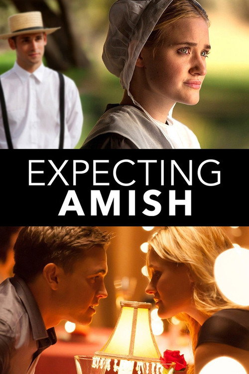 Cartel de La decisión Amish