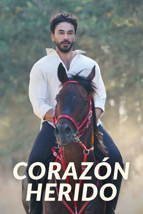 Cartel de Corazón herido