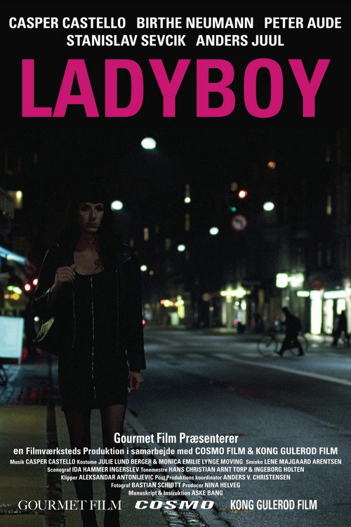 Cartel de Ladyboy