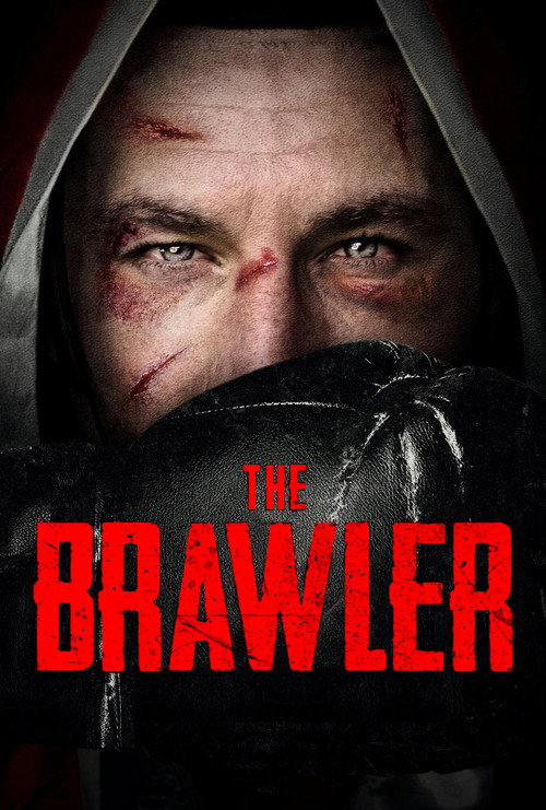 Cartel de The Brawler