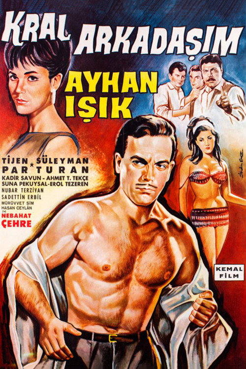 Cartel de Kral Arkadaşım