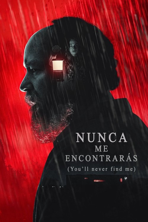 Cartel de Nunca Me Encontrarás