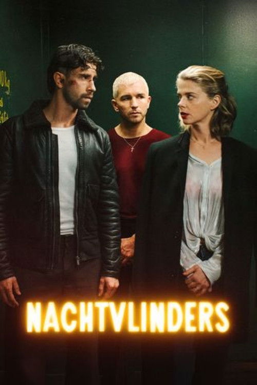 Cartel de Nachtvlinders