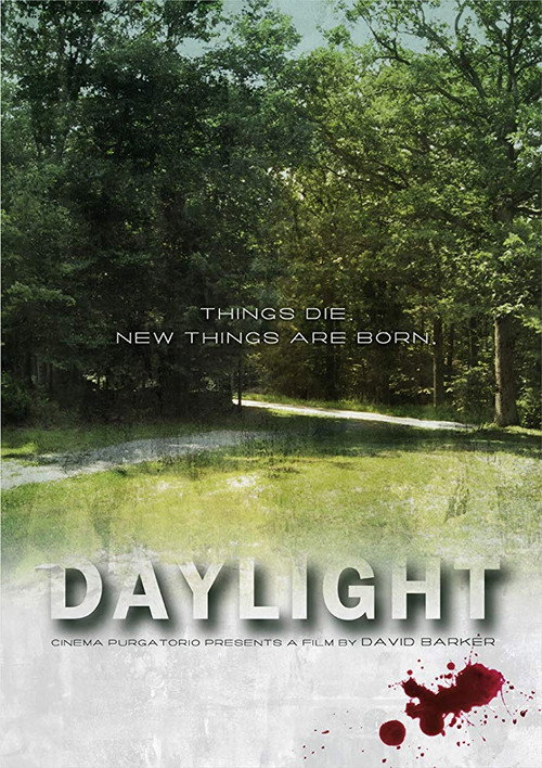 Cartel de Daylight