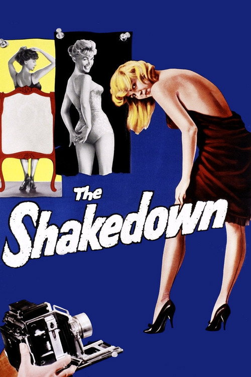 Cartel de The Shakedown