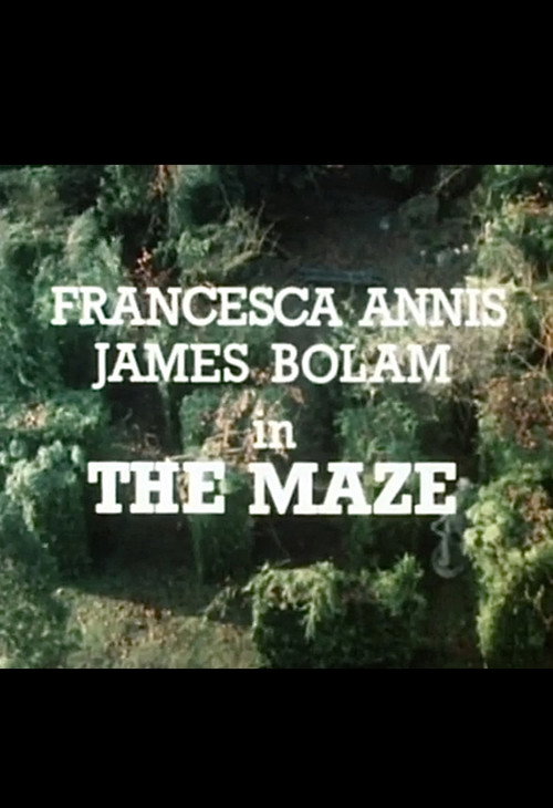 Cartel de The Maze