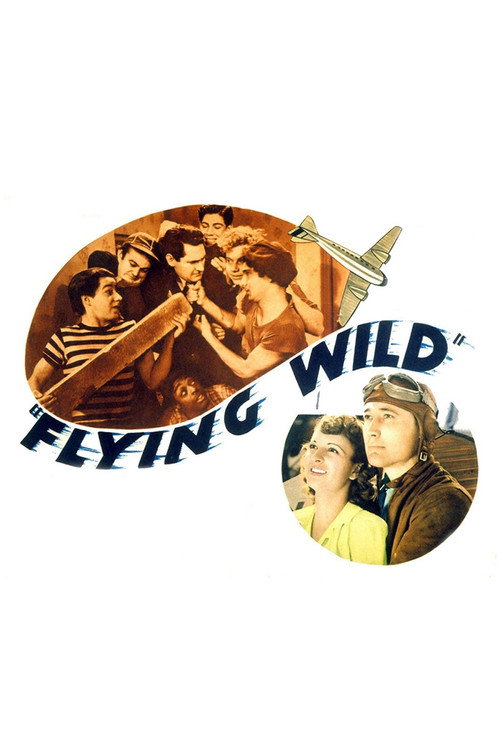 Cartel de Flying Wild