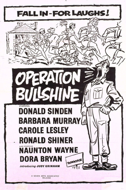 Cartel de Operation Bullshine
