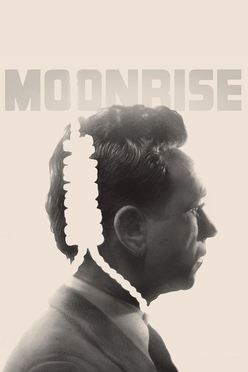 Cartel de Moonrise (Noche sin luna)