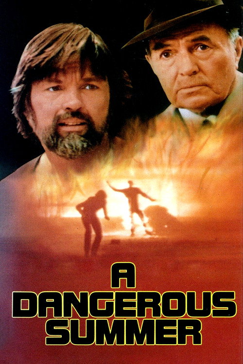 Cartel de A Dangerous Summer