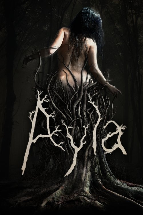 Cartel de Ayla