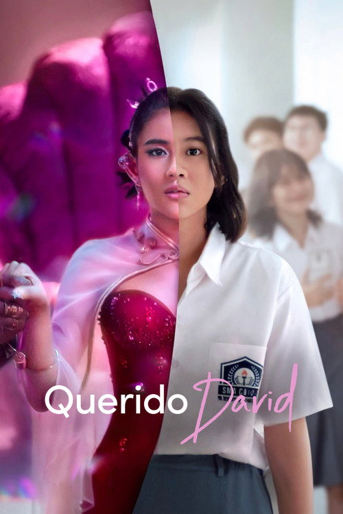Cartel de Querido David